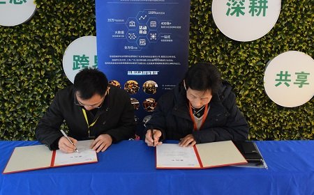 开云足球app入口新手怎么玩